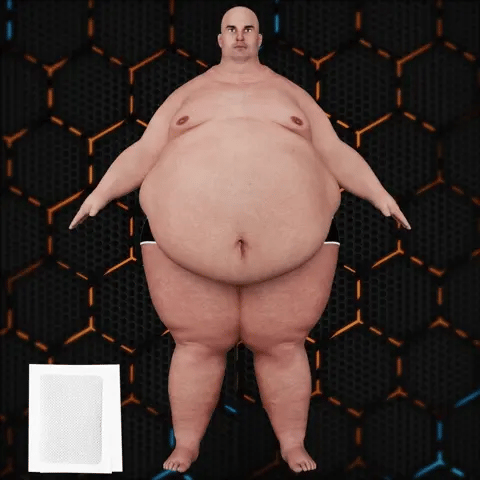 Bee Venom Foot Detox Patches (10 Patches)