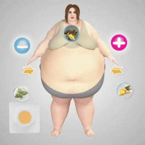 Bee Venom Foot Detox Patches (10 Patches)